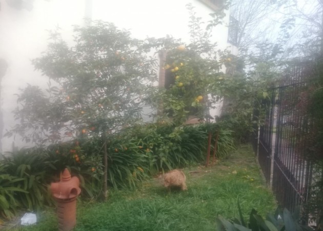 Chalet en 2 plantas Moron Sur Apto credito