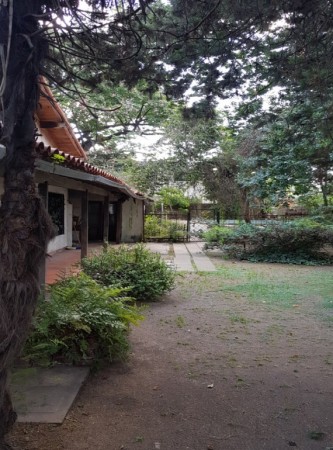 Chalet de epoca a reciclar sobre 3 lotes