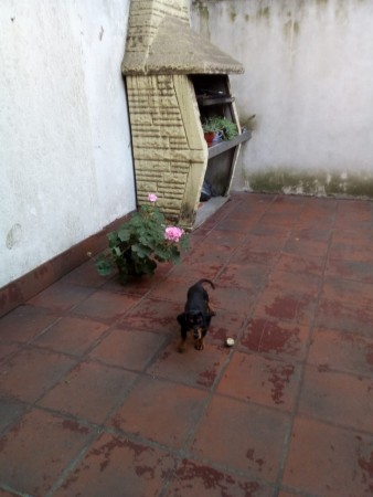 San Pedro 821 - Castelar Centro