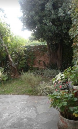 Medrano 300