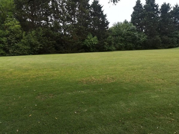 Lote en Venta en Country San Diego - 1600 METROS