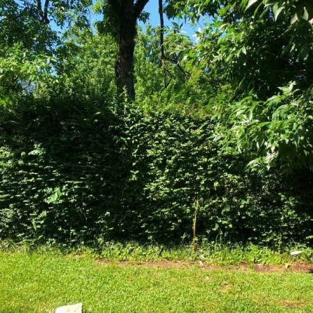Lote en Venta en Parque Leloir - Ituzaingo - 450 METROS