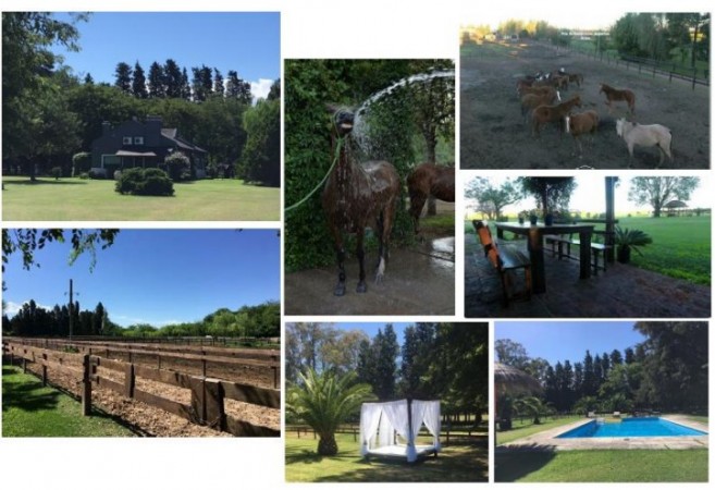 Campo en venta en Mercedes - 31hectareas - con vivienda