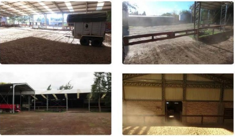 Campo en venta en Mercedes - 31hectareas - con vivienda