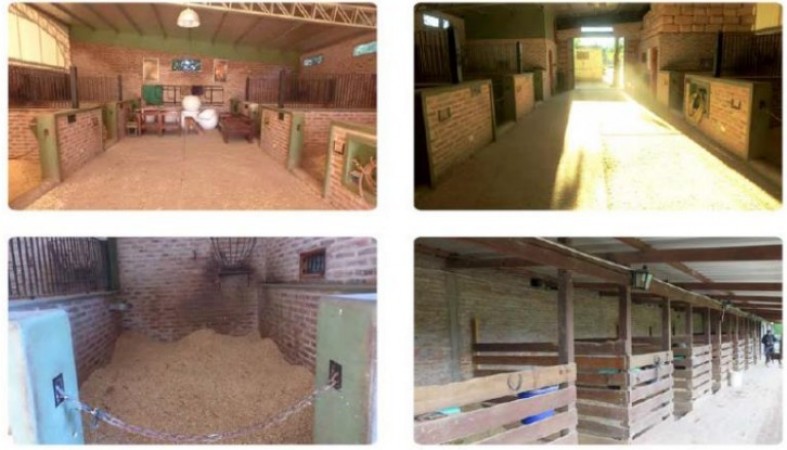 Campo en venta en Mercedes - 31hectareas - con vivienda