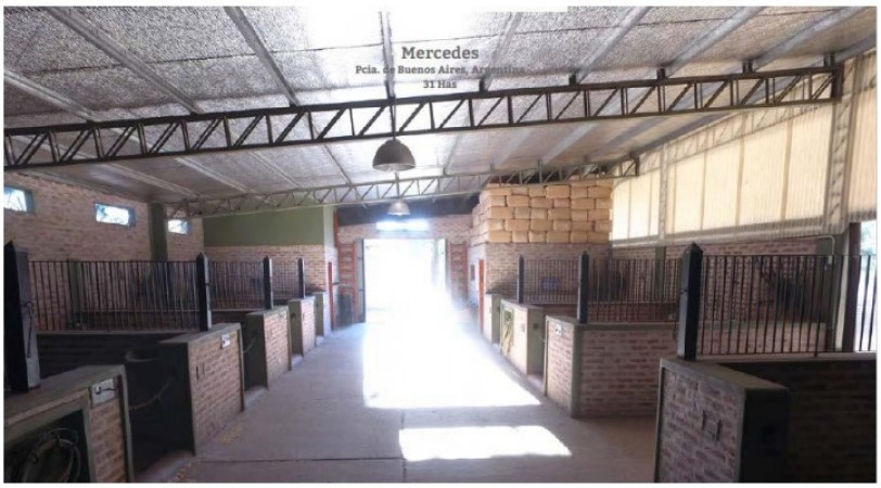 Campo en venta en Mercedes - 31hectareas - con vivienda