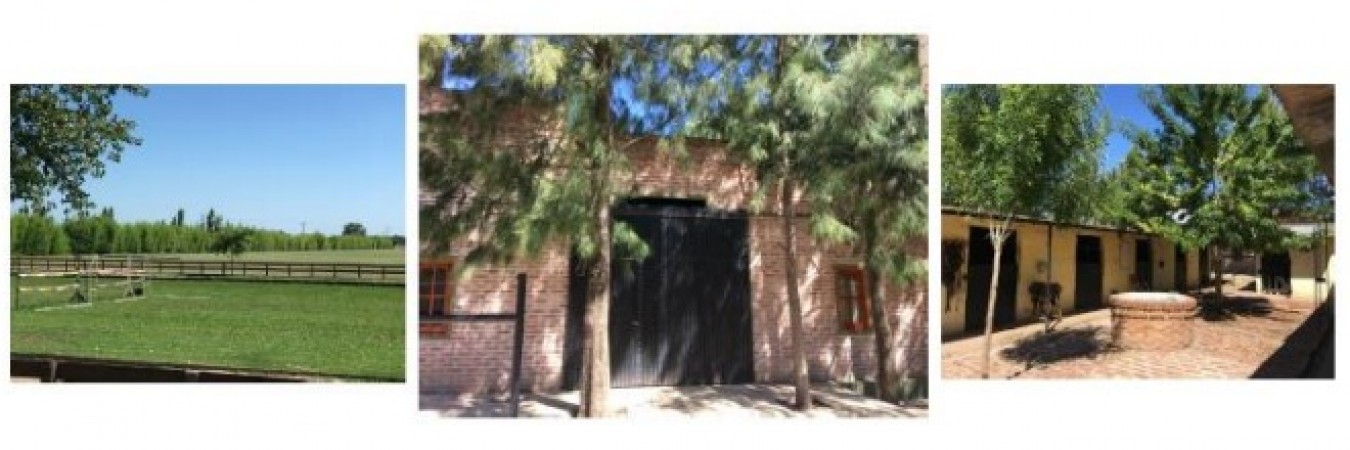 Campo en venta en Mercedes - 31hectareas - con vivienda