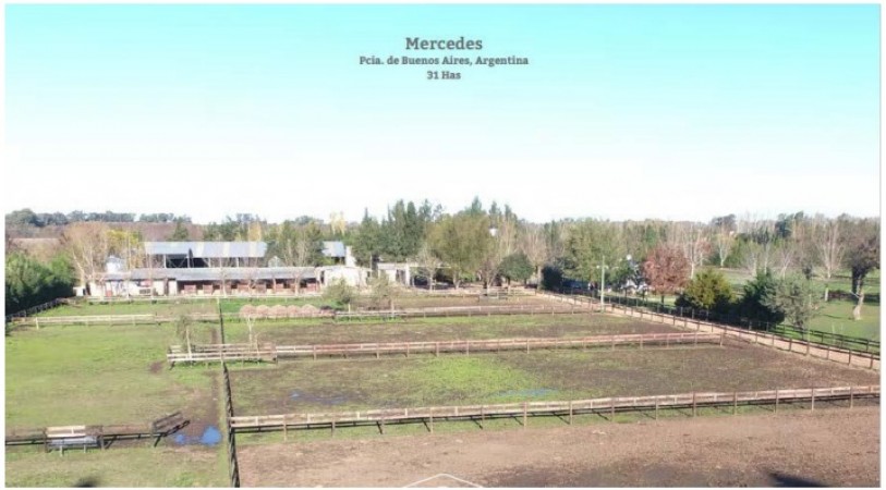 Campo en venta en Mercedes - 31hectareas - con vivienda