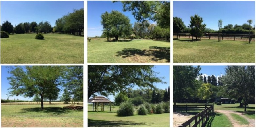 Campo en venta en Mercedes - 31hectareas - con vivienda