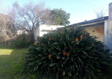Hidalgo 1682 - lote de 20 x 47 - Atencion Inversores !!!