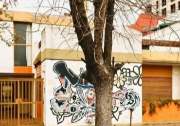 Lavalle 786 