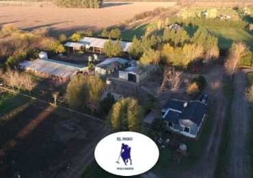 Campo en venta en Mercedes - 31hectareas - con vivienda 